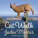 Cat Walk - Siop Y Pentan