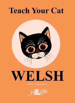 Teach Your Cat Welsh - Siop Y Pentan