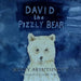 David the Pizzly Bear - Siop Y Pentan