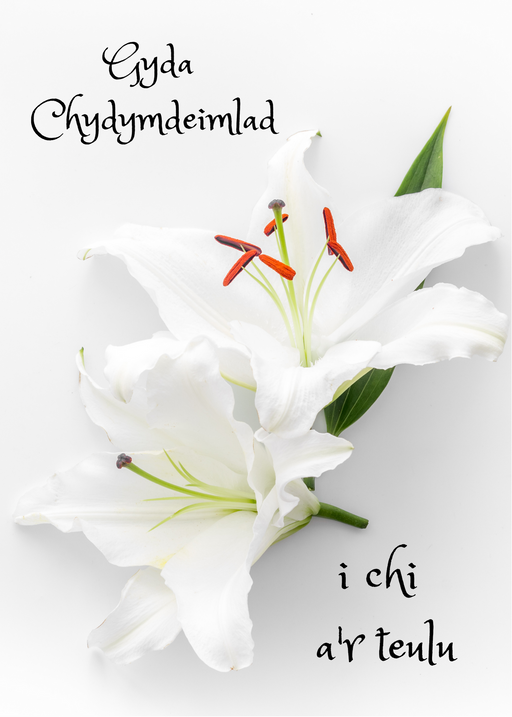 Gyda Chydymdeimlad i Chi a'r Teulu | Cardiau.Cymru - Siop Y Pentan