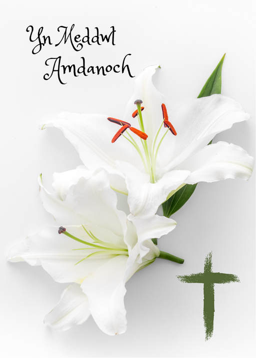 Yn Meddwl Amdanoch | Cardiau.Cymru - Siop Y Pentan