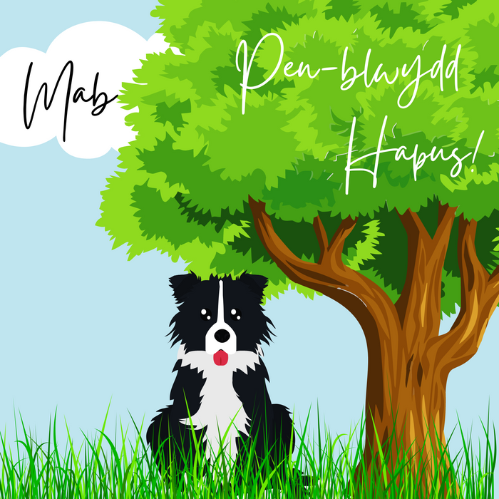 Penblwydd Hapus Mab | Cardiau.Cymru - Siop Y Pentan