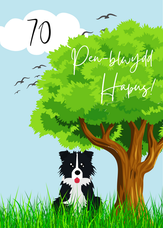 Penblwydd Hapus 70 | Cardiau.Cymru - Siop Y Pentan