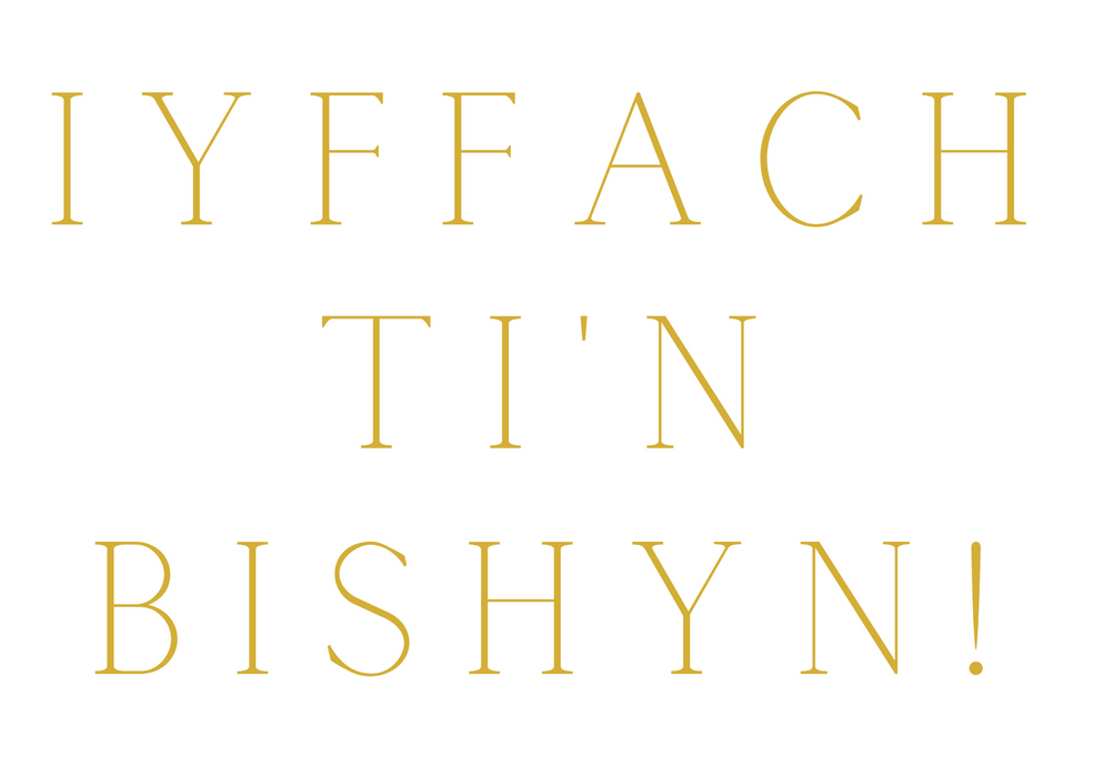 YIFFACH...TI'N BISHYN | Cardiau.Cymru - Siop Y Pentan
