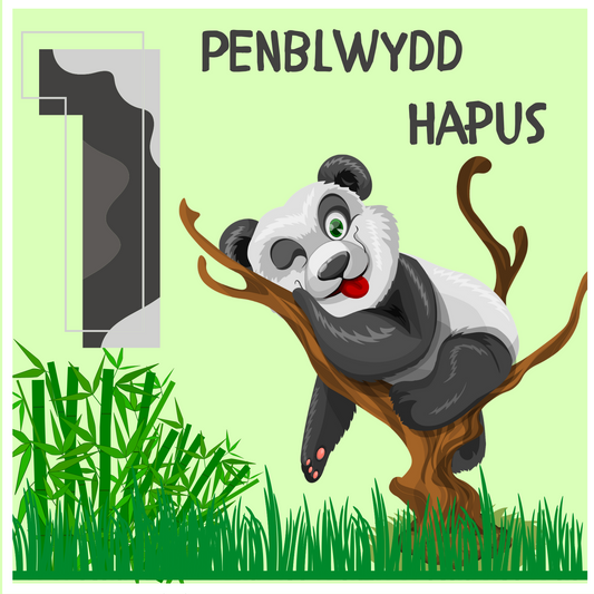 Penblwydd Hapus 1 | Cardiau.Cymru - Siop Y Pentan