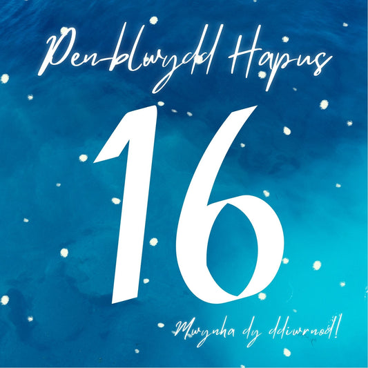 Penblwydd Hapus 16  | Cardiau.Cymru - Siop Y Pentan