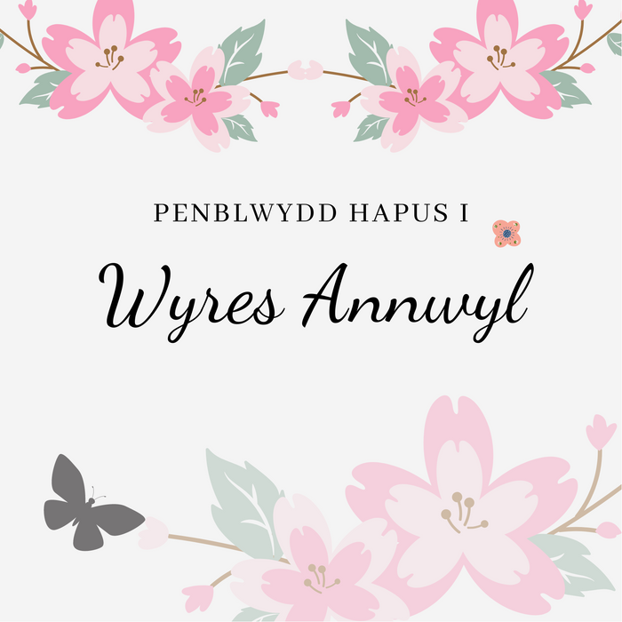 Penblwydd Hapus i Wyres Annwyl | Cardiau Myrddin - Siop Y Pentan