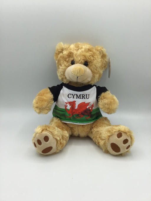 Tedi Cymru Wales - Siop Y Pentan