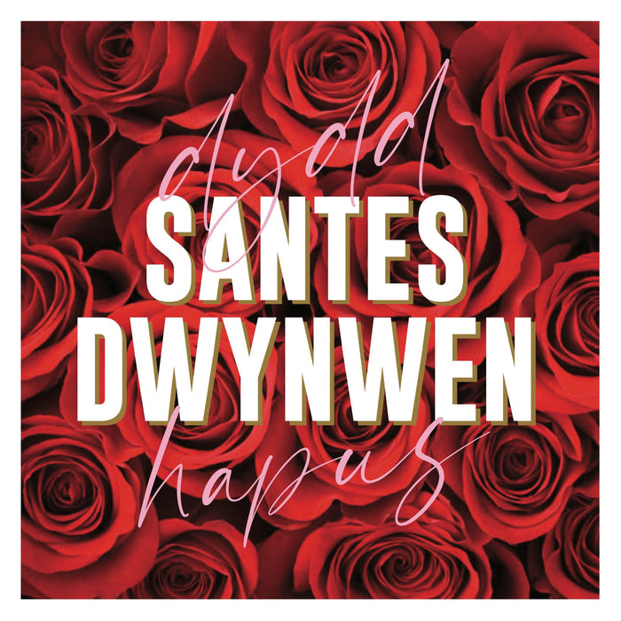 Santes Dwynwen | TwoLittleMonkeys - Siop Y Pentan